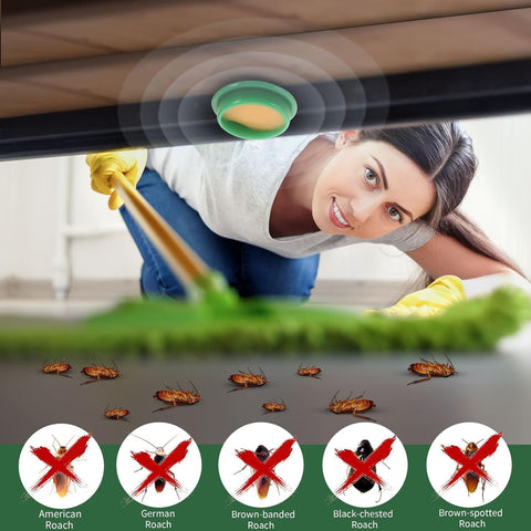 Cockroach Repellent Gel 12 Pcs ( Pack of 2 ) | Buysquare