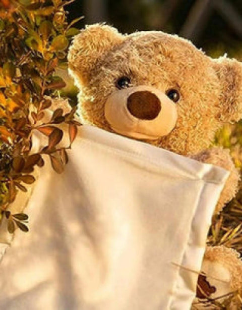 Peek A Boo Bear Animated with Voice Teddy - BUYSQUARE