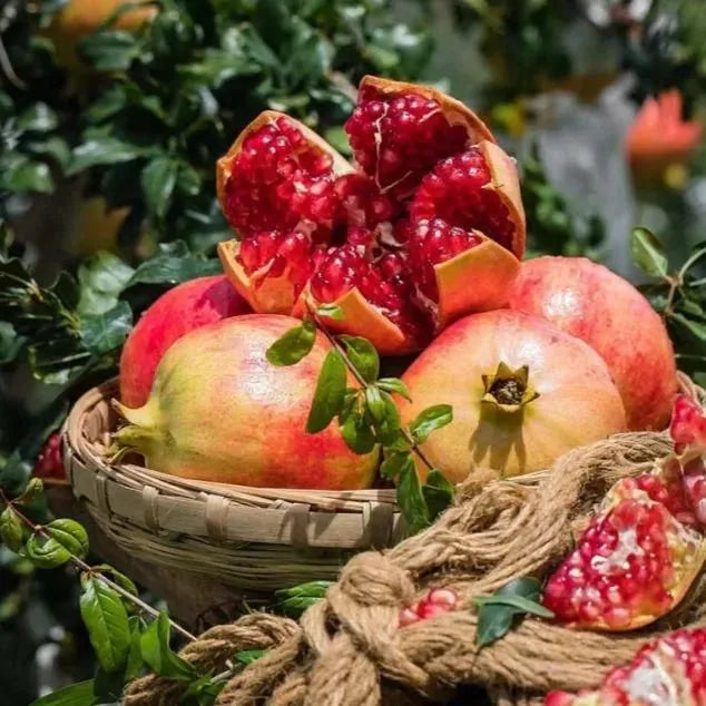 Pomegranate Fruit Seeds