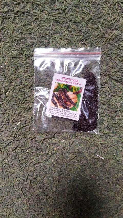 Shahtoot Fruit Seeds
