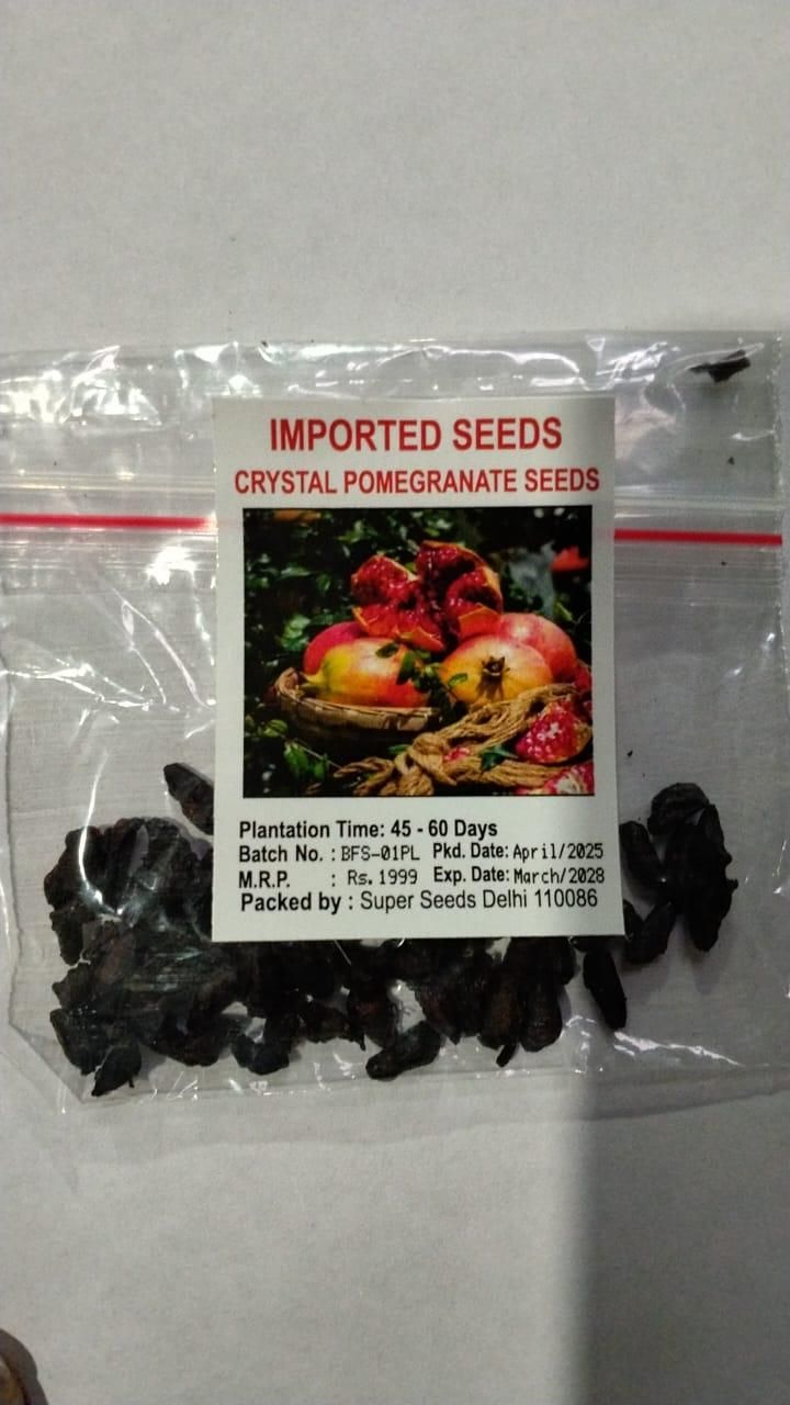 Pomegranate Fruit Seeds