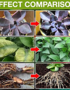 Plant Growth Supplement