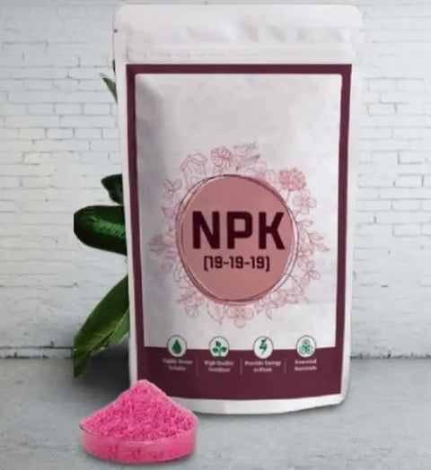 NPK 19:19:19 Plant Fertilizer