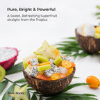 Dragon Fruit Plant Seeds