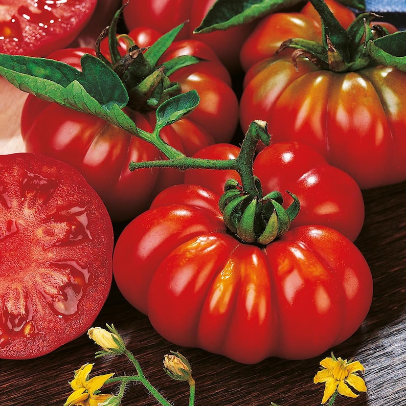 Tomato Seeds
