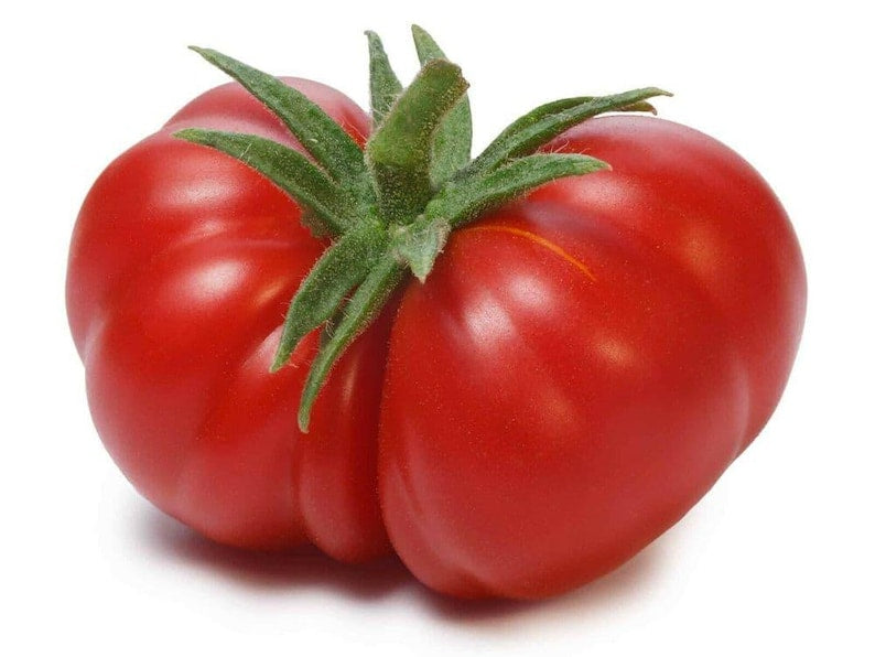 Tomato Seeds
