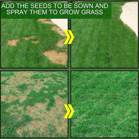 Seed Coating Formula