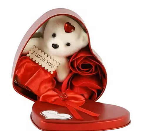  Valentine & Anniversary Gift