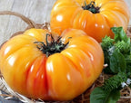 Tomato Seeds