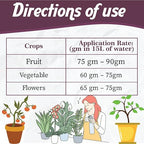 NPK 19:19:19 Plant Fertilizer
