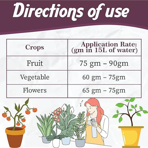NPK 19:19:19 Plant Fertilizer
