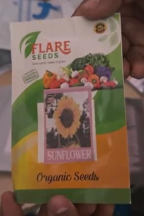 Sunflower Seeds for Planting