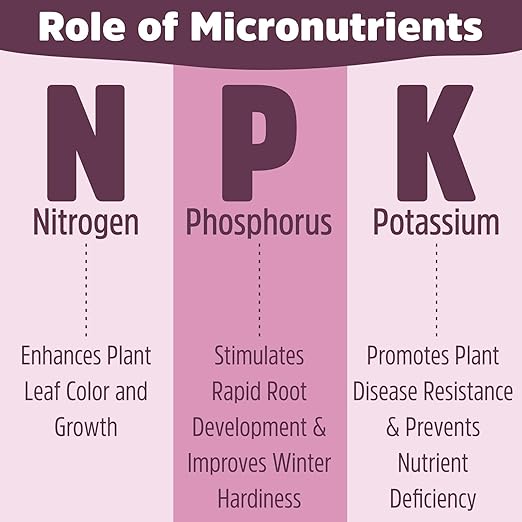 NPK 19:19:19 Plant Fertilizer