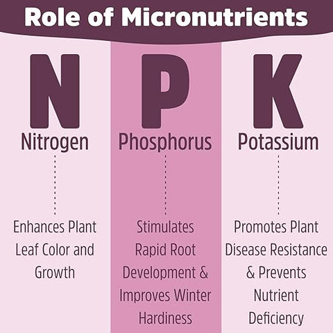NPK 19:19:19 Plant Fertilizer