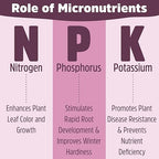 NPK 19:19:19 Plant Fertilizer