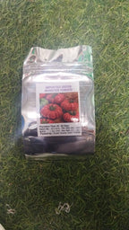 Tomato Seeds