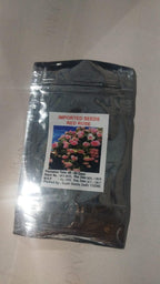 Imported Seeds Elegant Climbing Rose Flowers Seeds | Buysquare