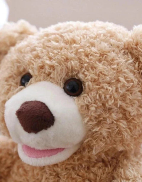 Peek A Boo Bear Animated with Voice Teddy - BUYSQUARE
