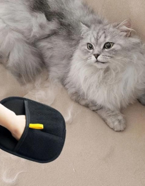 7718